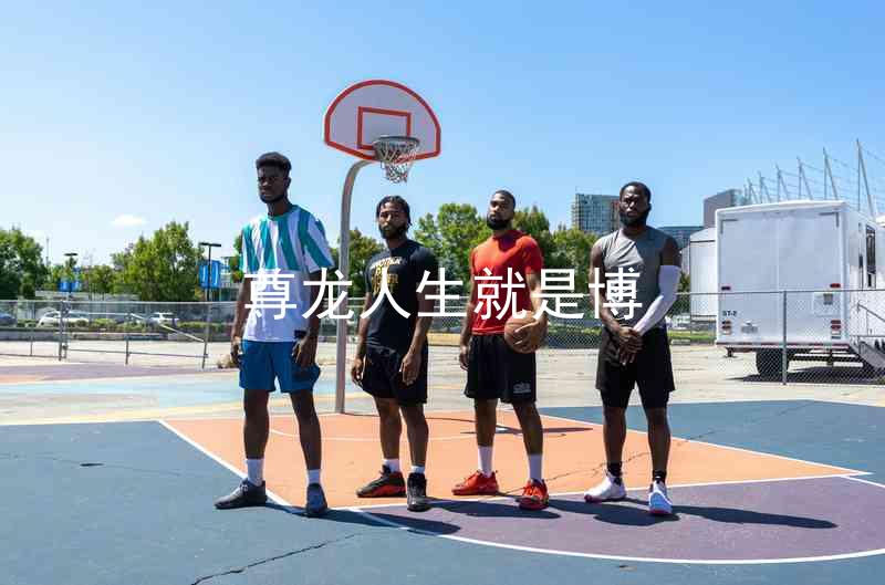 尊龙人生就是博