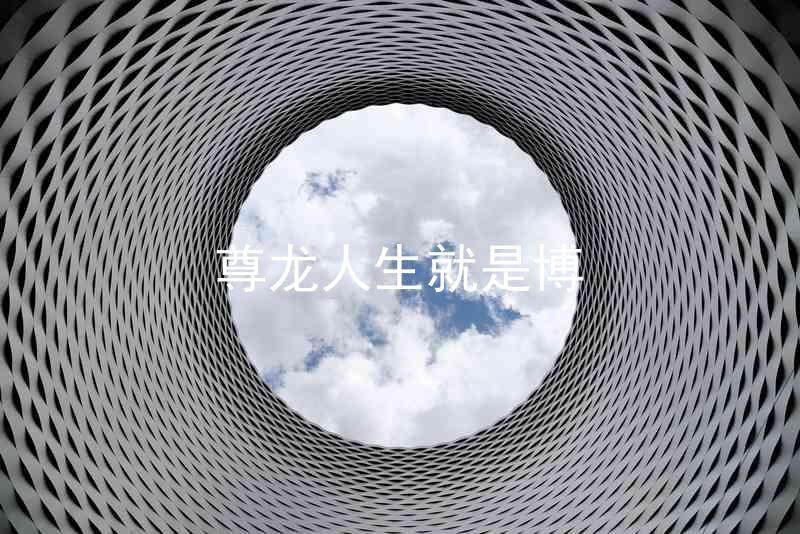 尊龙人生就是博